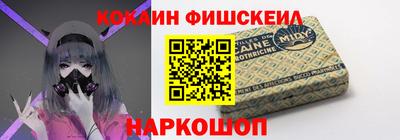 бошки Кингисепп