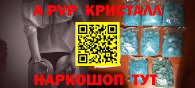 бошки Кингисепп
