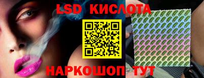 бошки Кингисепп