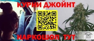 сатива Кимры