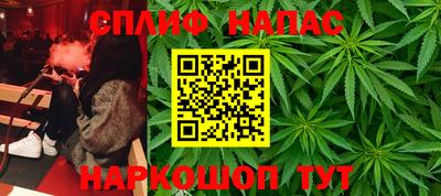 бошки Кингисепп