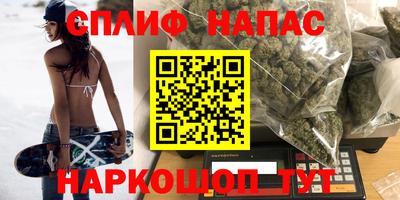 сатива Кимры