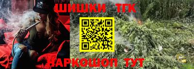 бошки Кингисепп