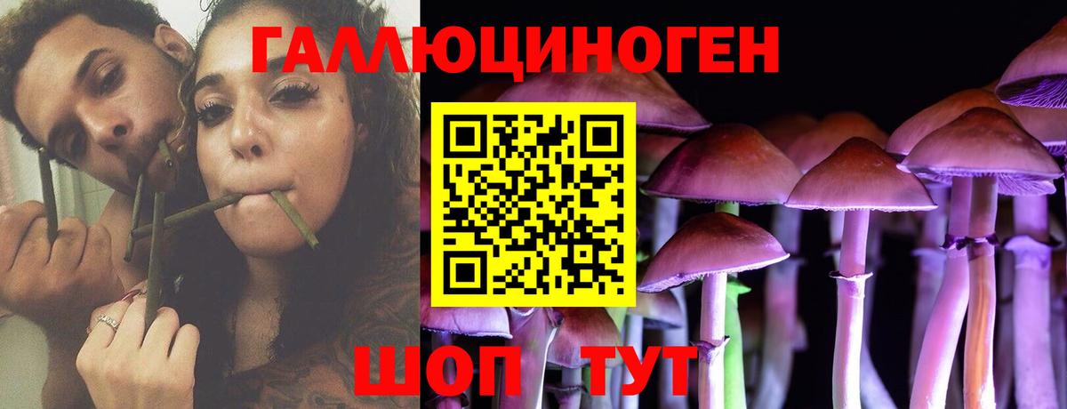 Галлюциногенные грибы прущие грибы Кириши