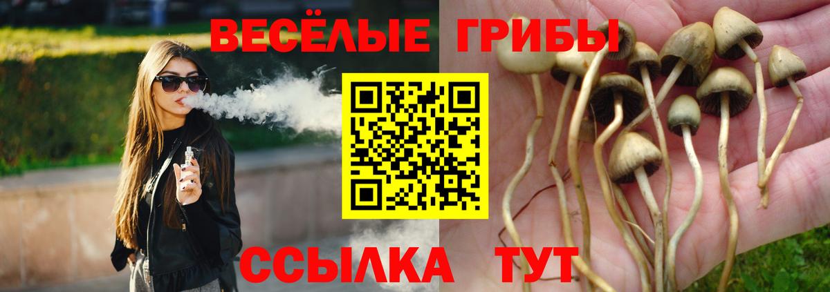 где купить наркоту  Вход с VPN  Кириши  Псилоцибиновые грибы GOLDEN TEACHER  Псилоцибиновые грибы мухоморы 